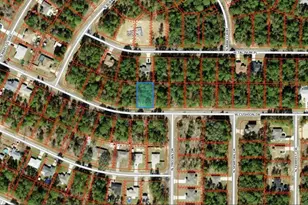 3369 W Cushion Dr, Citrus Springs, FL 34433 - Photo 1