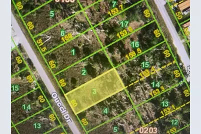 12672 Gucci Drive, Punta Gorda, FL 33955 - Photo 2