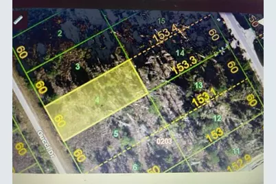 12678 Gucci Drive, Punta Gorda, FL 33955 - Photo 1