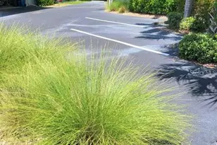 1711 Settlers Dr, Nokomis, FL 34275 - Photo 14