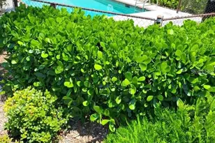 1711 Settlers Dr, Nokomis, FL 34275 - Photo 2