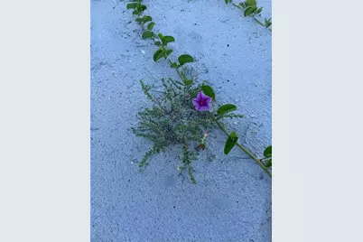 9502 Alborado Road, Placida, FL 33946 - Photo 56