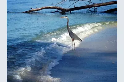 20 N Gulf Boulevard, Placida, FL 33946 - Photo 62