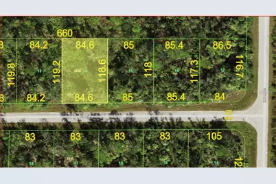 14232 Darwin Avenue, Port Charlotte, FL 33953 - Photo 1