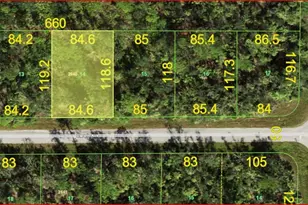 14232 Darwin Ave, Port Charlotte, FL 33953 - Photo 1