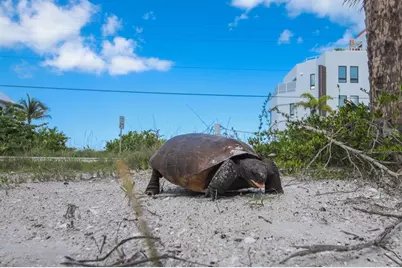 8 Adele Way, Placida, FL 33946 - Photo 48