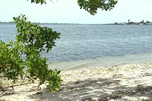 15077 Acorn Cir, Port Charlotte, FL 33981 - Photo 78