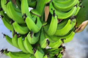 15301 Chinook Way, Port Charlotte, FL 33981 - Photo 40