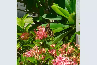 8768 King Street, Placida, FL 33946 - Photo 8