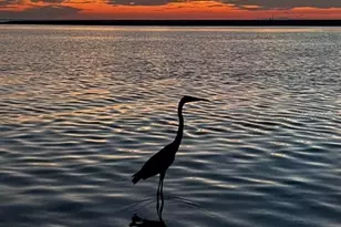 170 N Gulf Blvd, Placida, FL 33946 - Photo 40