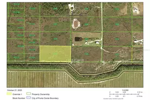 48359 Bermont Rd, Punta Gorda, FL 33982 - Photo 1
