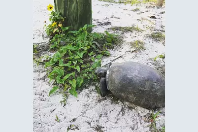 9552 Buccaneer Trail, Placida, FL 33946 - Photo 26