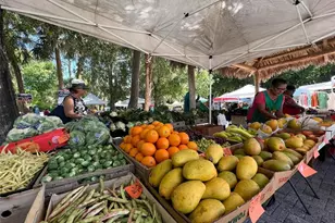 6070 Shearwater Dr, Englewood, FL 34224 - Photo 52