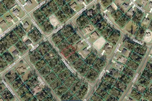 16859 SW 23rd Avenue Rd, Ocala, FL 34473 - Photo 1