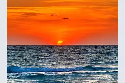 8146 Little Gasparilla Island, Placida, FL 33946 - Photo 16