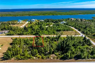 9259 Lingle St, Port Charlotte, FL 33981 - Photo 1
