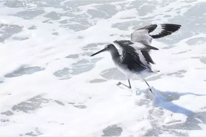 2727 N Beach Road #113, Englewood, FL 34223 - Photo 46