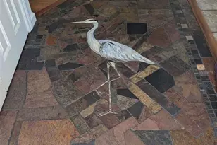 2100 Kings Hwy, Port Charlotte, FL 33980 - Photo 40