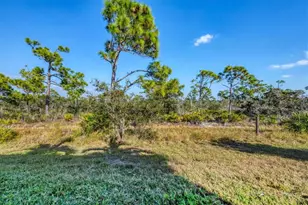 8920 Conch Ave, Placida, FL 33946 - Photo 42
