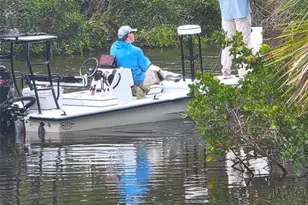 120 Barracuda Dr, Placida, FL 33946 - Photo 4