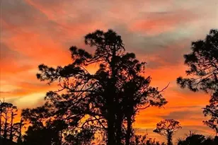 5 Reef Ct, Placida, FL 33946 - Photo 52