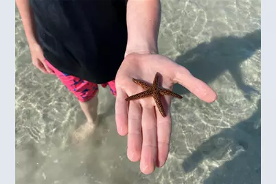 2955 N Beach Road #D125, Englewood, FL 34223 - Photo 38