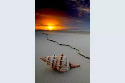 228 Rotonda Circle, Rotonda West, FL 33947 - Photo 72