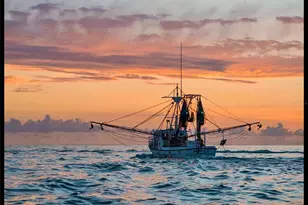 8550 Little Gasparilla Island, Placida, FL 33946 - Photo 54