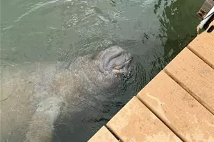 8550 Little Gasparilla Island, Placida, FL 33946 - Photo 56