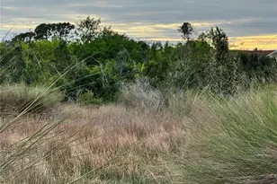 15769 Hennipen Cir, Port Charlotte, FL 33981 - Photo 1