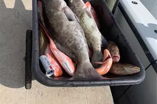 430 NW 39th Ave, Cape Coral, FL 33993 - Photo 50