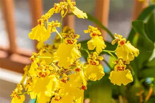 160 1st St E, Boca Grande, FL 33921 - Photo 32