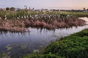 248 Rotonda Cir, Rotonda West, FL 33947 - Photo 48