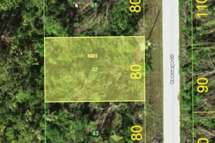 10758 Kearsarge Cir, Port Charlotte, FL 33981 - Photo 1