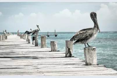 232 Mark Twain Lane, Rotonda West, FL 33947 - Photo 78