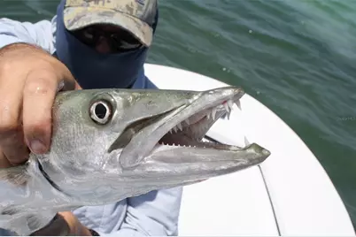 232 Mark Twain Lane, Rotonda West, FL 33947 - Photo 76