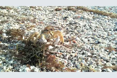 232 Mark Twain Lane, Rotonda West, FL 33947 - Photo 36