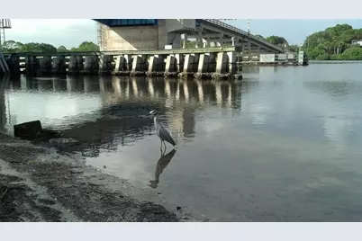 35 Pine Valley Court, Rotonda West, FL 33947 - Photo 76