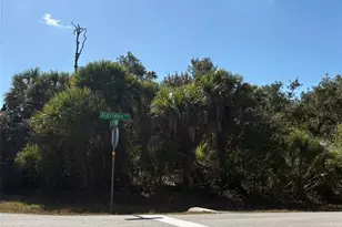 14376 Aldridge Ave, Port Charlotte, FL 33953 - Photo 1