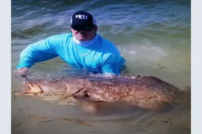 9015 Anita Avenue, Englewood, FL 34224 - Photo 52