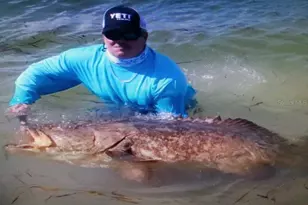 9015 Anita Ave, Englewood, FL 34224 - Photo 52