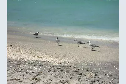 9015 Anita Avenue, Englewood, FL 34224 - Photo 44