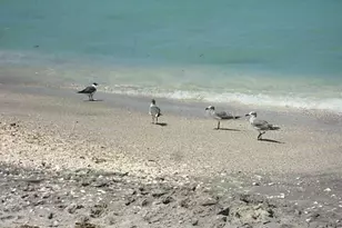 9015 Anita Ave, Englewood, FL 34224 - Photo 44