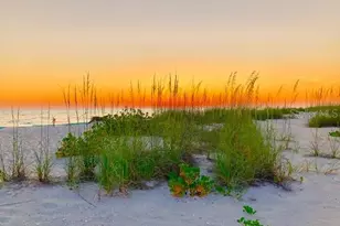 8798 Grand Ave, Placida, FL 33946 - Photo 46