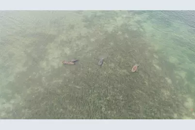 70 Spaniards Road, Placida, FL 33946 - Photo 20