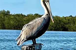 9334 Little Gasparilla Island, Placida, FL 33946 - Photo 56