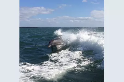 9334 Little Gasparilla Island, Placida, FL 33946 - Photo 58