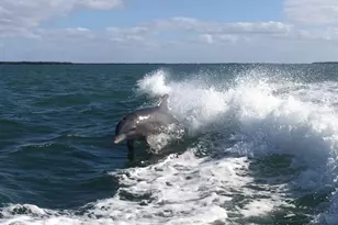 9334 Little Gasparilla Island, Placida, FL 33946 - Photo 58