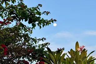 1735 Loralin Dr, Englewood, FL 34223 - Photo 44