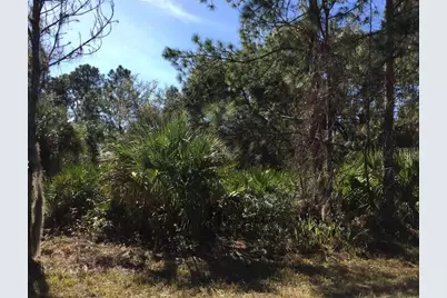 14423 Maddock Avenue, Port Charlotte, FL 33953 - Photo 1